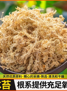 专用水苔爬宠乌龟苔蝶兰干石斛天然苔藓种植营养青苔兰花草冬眠蝴