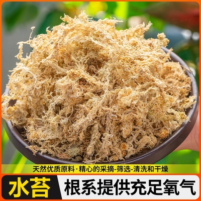 专用水苔爬宠乌龟苔蝶兰干石斛天然苔藓种植营养青苔兰花草冬眠蝴