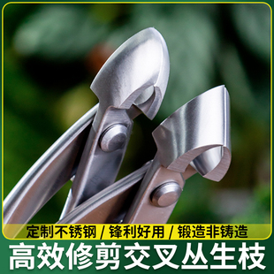 枝盆景斜口专业钢叉不锈工具钳鼎木专用枝剪造型修剪制作剪刀凹形