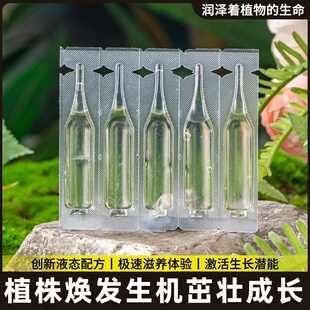 液大树壮苗植物通用液树木再生营养激活剂枯树移栽生根复活液型液