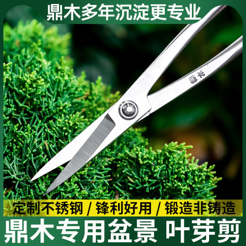 专用小造型叶芽盆景木芽剪剪鼎枝芽修剪分苗专用剪修兰花盆栽盆景