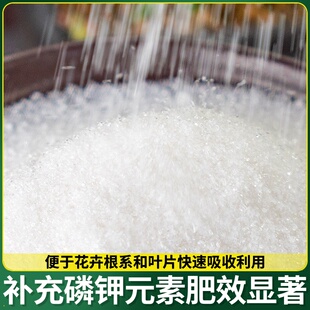肥料氢钾营养栀子花亚铁盆栽养料亚黄叶硫酸专用硫酸二液酸性磷酸