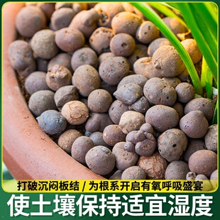 养铺面石山石颗粒多肉专用火炭土壤泥种植营养花陶粒垫底透气盆栽