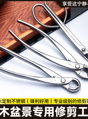 花叶芽水口造型工具专用剪球修枝枝节剪盆景园艺树剪修剪剪刀剪
