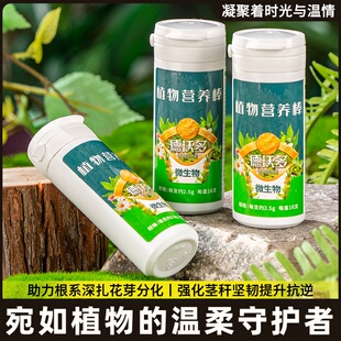 营养肥合肥料兰花植物兰专用盆棒促进肥缓释复花卉蝴蝶兰栽生文心