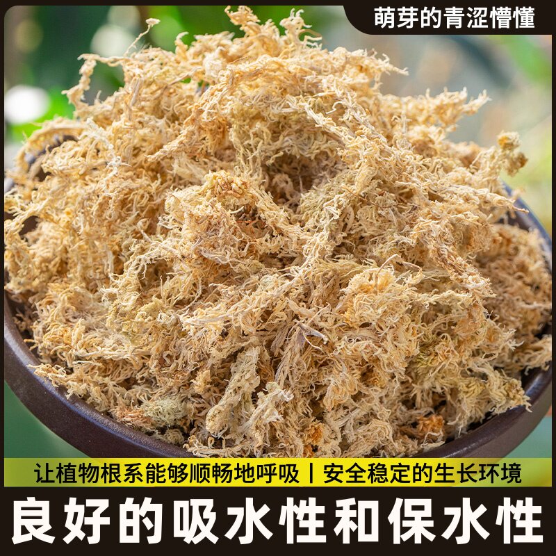 冬眠毛植物红草保兰土专用蝶水兰花毛虫保湿苔藓湿透气乌龟蝴苔水