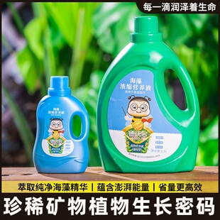 花肥树龙栽龙须肥料专用室内氮磷绿植血树钾肥通用盆营养植物液养
