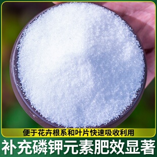 二专用花卉保果农用营养复叶面磷钾促补充磷酸肥料花正品合肥氢钾