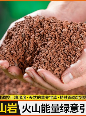 养花铺面环保红色天然火火山石优专用多肉土垫底山岩兰花颗粒透气