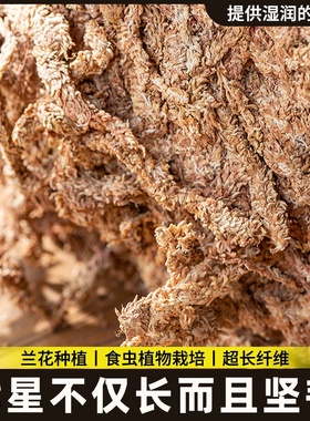 苔藓苔干透气蝶兰干环保兰花包专用冬眠土蝴乌龟智力土邮柱水水苔