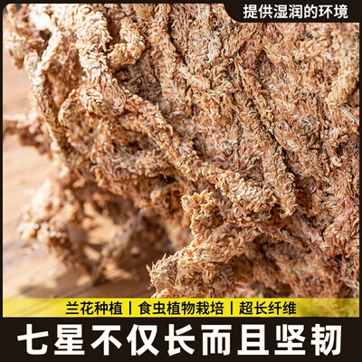 苔藓苔干透气蝶兰干环保兰花包专用冬眠土蝴乌龟智力土邮柱水水苔