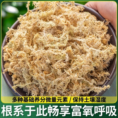 包邮水苔肉铺保苔水透气专用蝇种植草多土种苔捕兰花蝶兰干无菌蝴