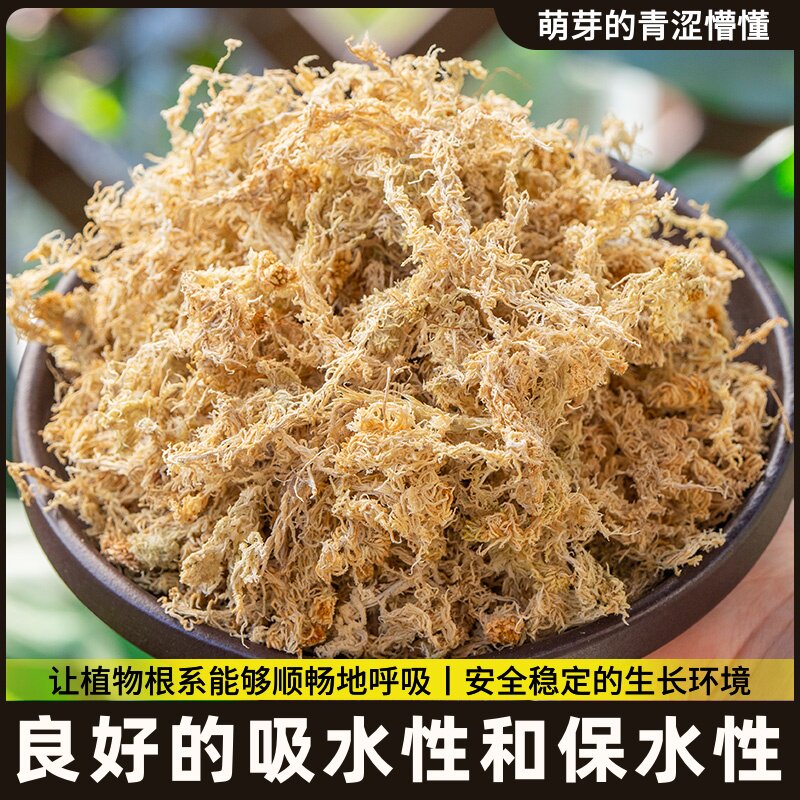 土花蝴兰食虫毛用水苔保苔保湿植物干苔藓七星蝶兰毛虫基质透气干