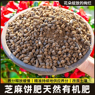 通用发酵种腐熟仔发酵剂肥颗豆饼饼肥种花环菜菜有机粒肥盆栽芝麻