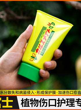 进口伤愈膏现货松柏切口
