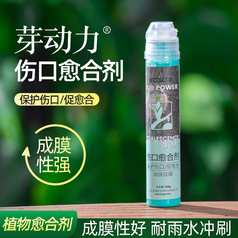 伤口愈合剂愈合植物树木果树修剪盆景树桩根嫁接封口胶涂抹剂高效