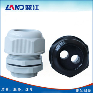 蓝江 二孔尼龙电缆固定头双孔塑料电缆密封格兰接头2孔防水葛兰头