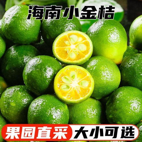海南小金桔5斤小青柠奶茶店专用