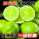 正宗新鲜无籽青柠檬5斤泰国品种小青柠榨汁切片非海南整件 免邮