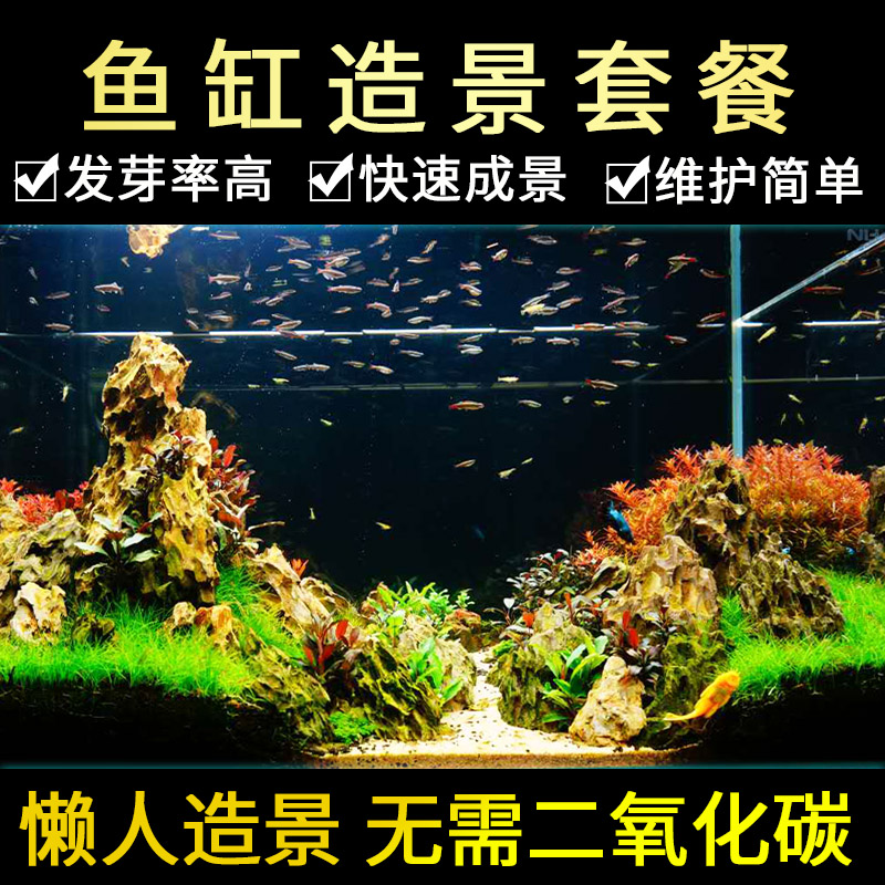 鱼缸造景套餐 水草景观 摆件装饰假山迷你观赏生态全套型布景材料