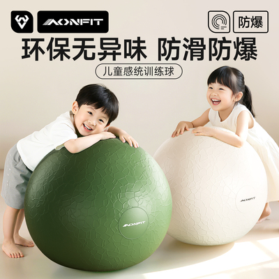 瑜伽球儿童感统训练大龙球