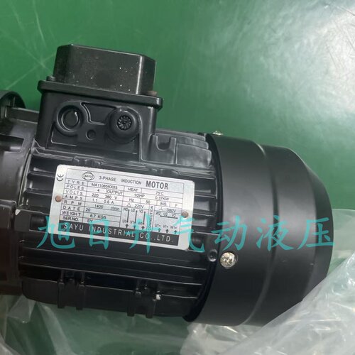 SAYU长轴电机3-PHASE INDUCTION MOTOR MA11065KX08 MA11045KX03