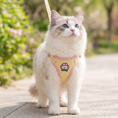 神经猫黄粉萌宠元气贴贴胸背套装无毛猫德文外出牵引绳小狗狗绳子
