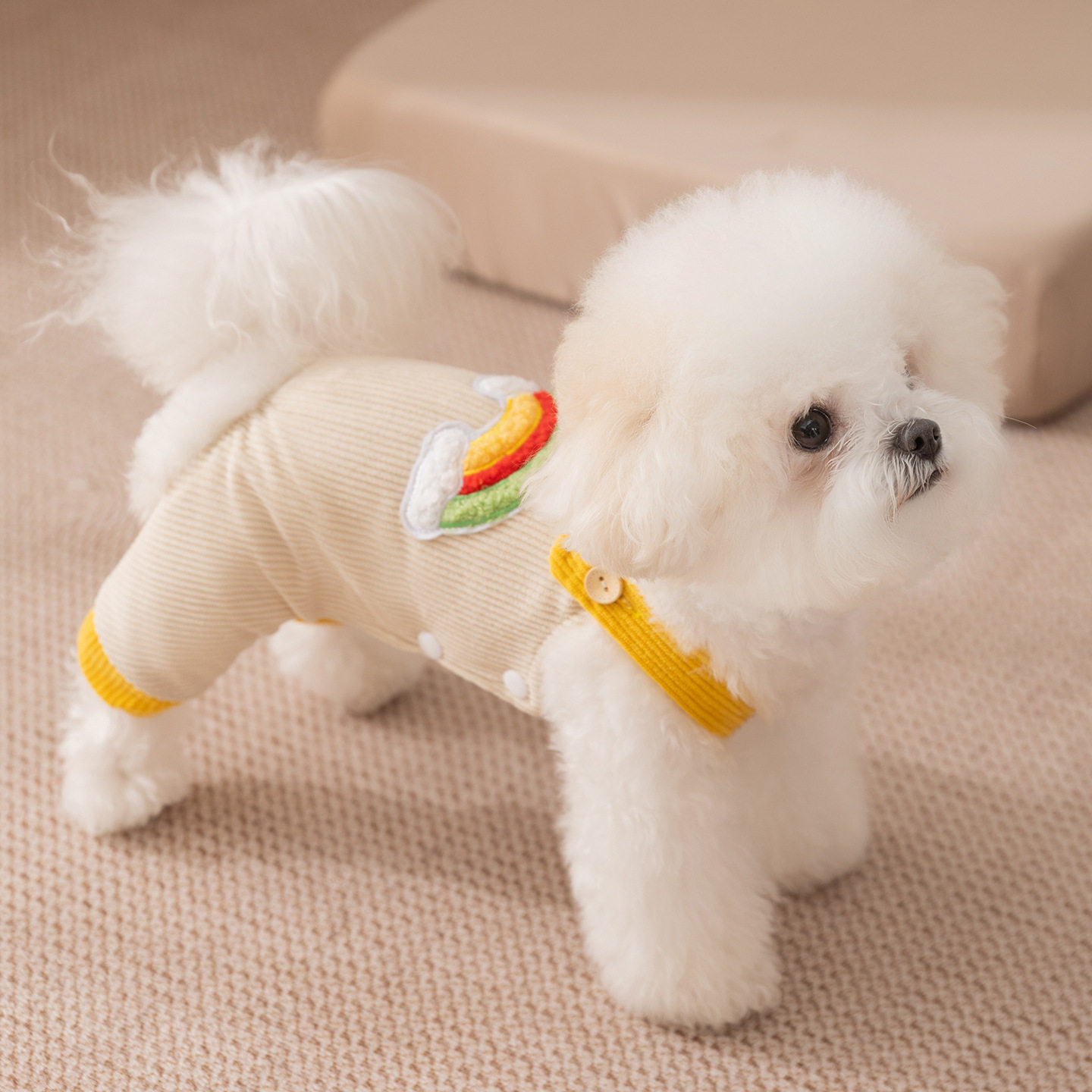 宠物衣服遇见彩虹灯芯绒四脚背带裤小型犬比熊泰迪秋冬狗衣服