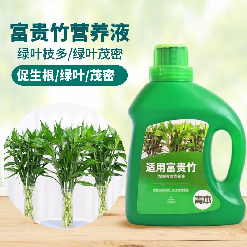 青本富贵竹专用营养液