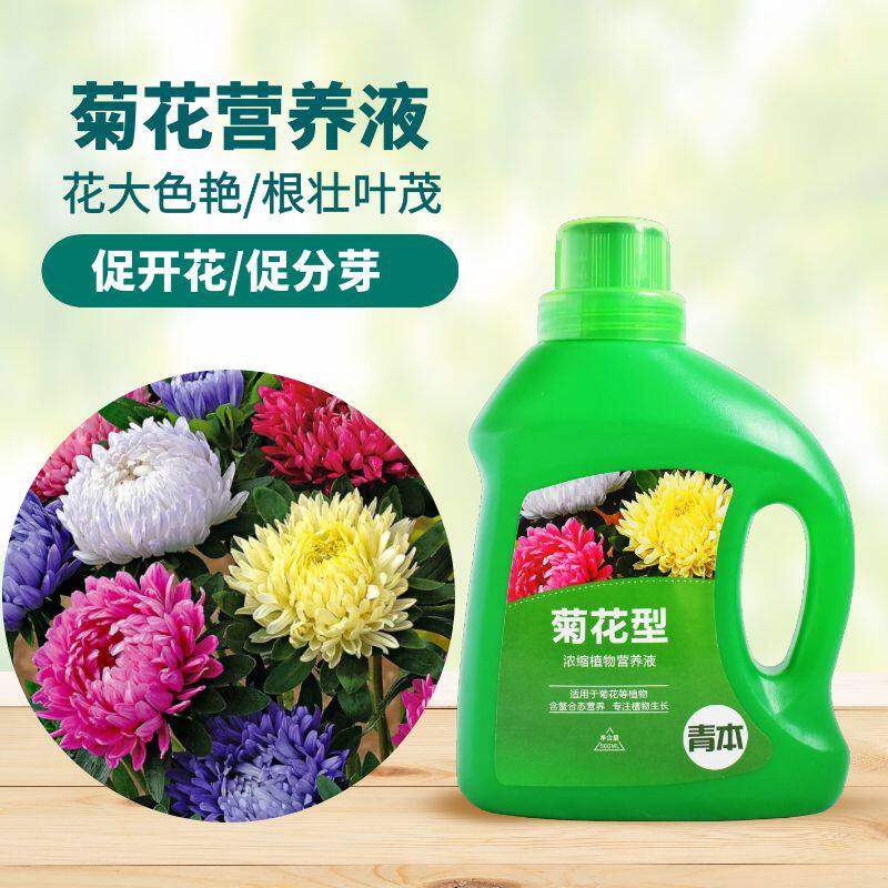 菊花类专用营养液室内盆栽专用速效瓶装壮苗送磷钾复合花肥料促花