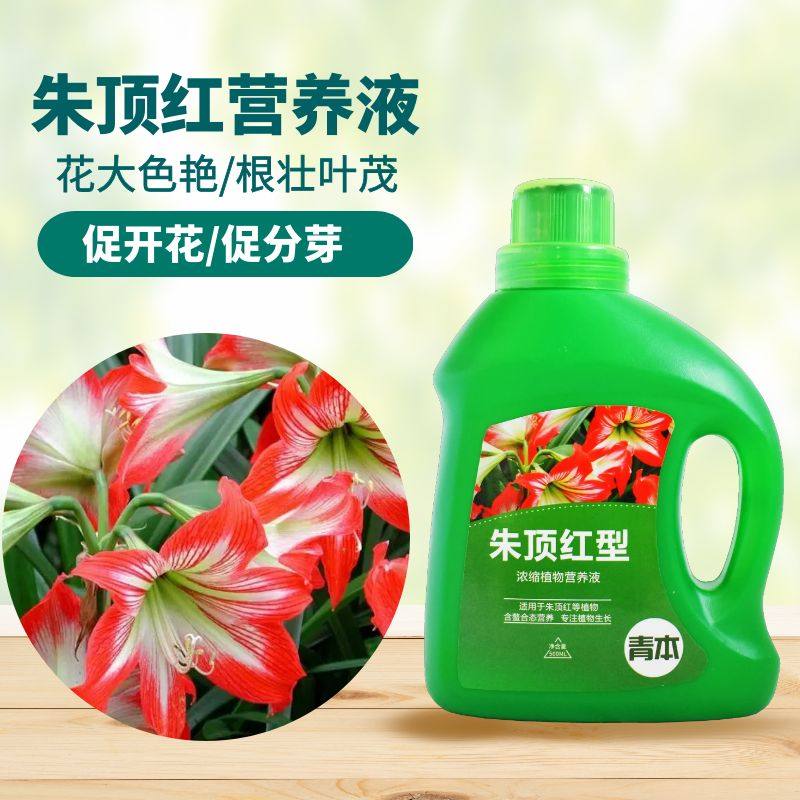 青本朱顶红专用营养液
