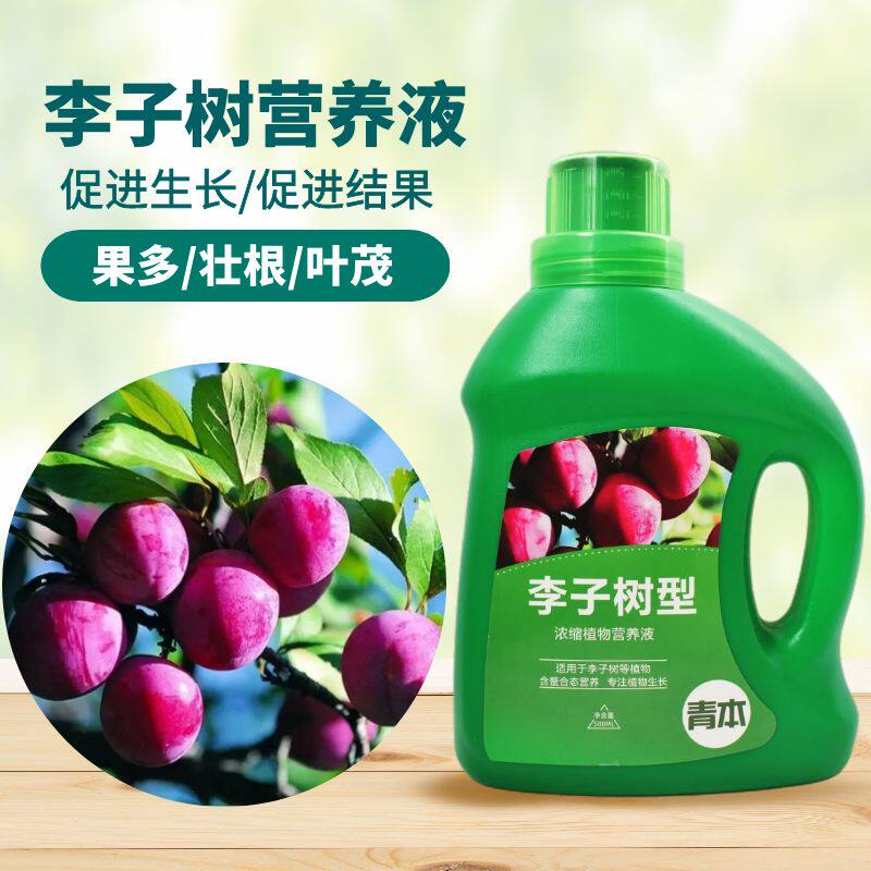 青本李子树专用肥营养液