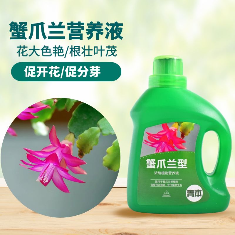 青本蟹爪兰专用营养液