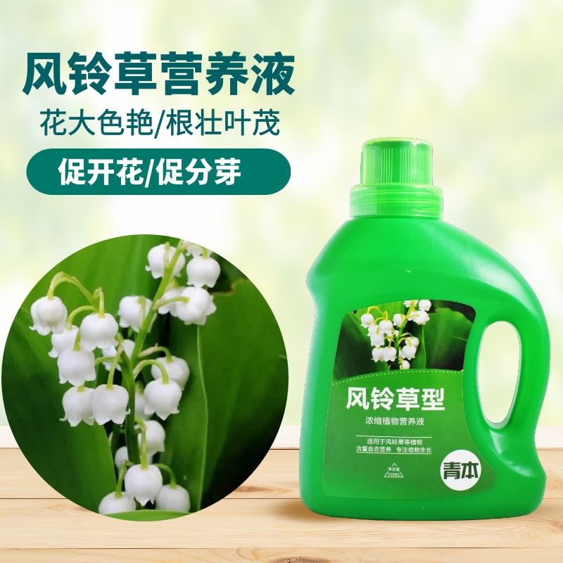 青本风铃草专用营养液