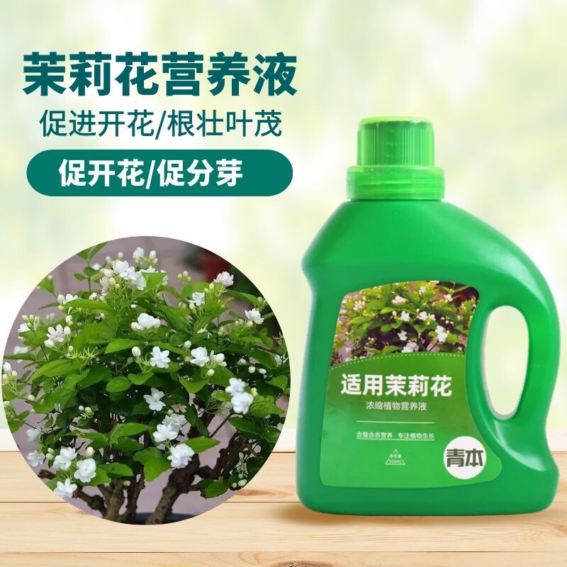 青本茉莉花专用营养液