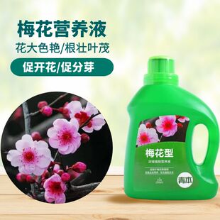 梅花专用营养液室内客厅阳台盆景栽植物绿白红梅氮磷钾水溶花肥料