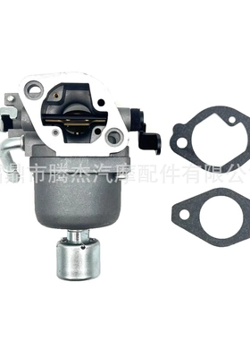 百力通briggs 699807 401577 406577 407577拖拉机化油器