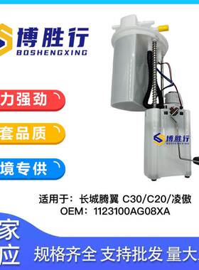 适用于长城腾翼C30/C20/凌傲燃油泵总成汽油泵泵芯1123100AG08XA