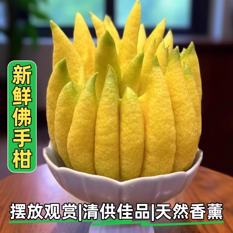 云南佛手柑特大鲜果天然香薰清供闻香观赏摆件室内盆栽香橼佛手果