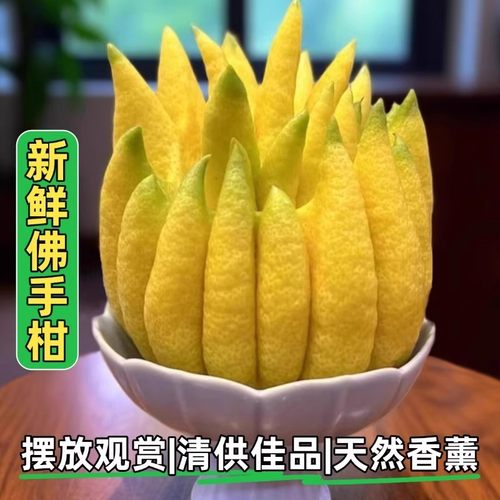 云南佛手柑特大鲜果天然香薰清供闻香观赏摆件室内盆栽香橼佛手果