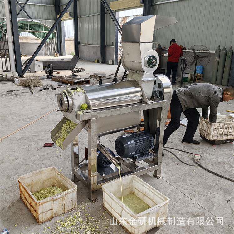 饮料厂大型水果榨汁机 不锈钢蔬菜打汁机 工业用桑葚螺旋挤汁机