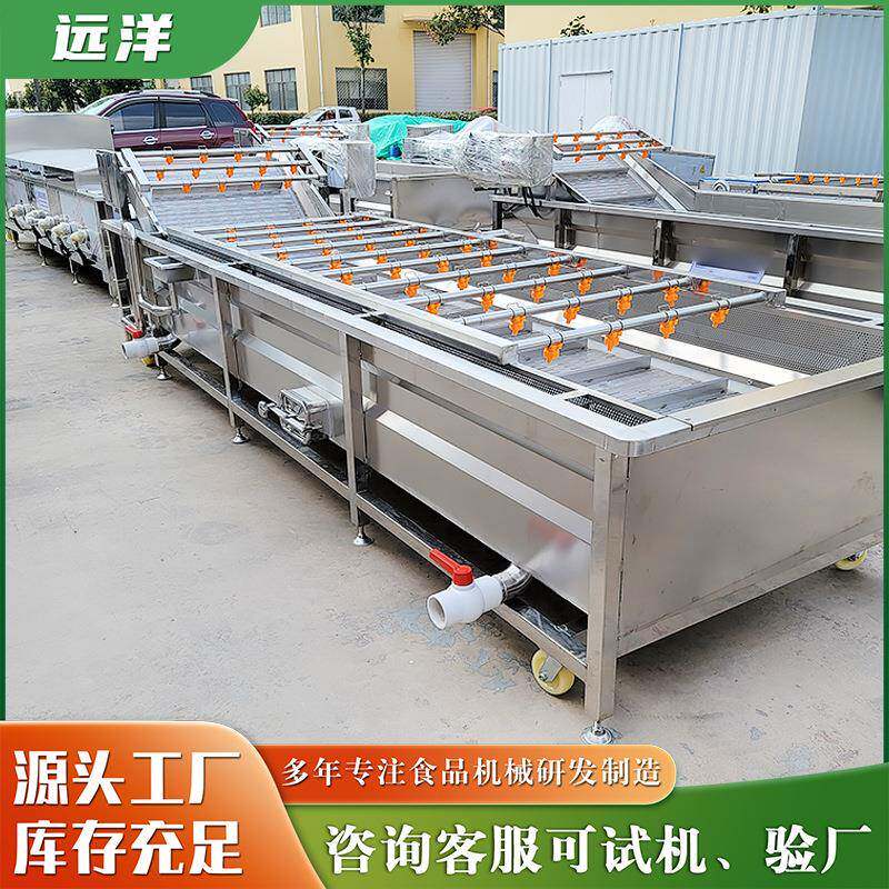 辣椒香菇西蓝花连续式高压喷淋清洗机生菜油菜叶菜气泡清洗设备