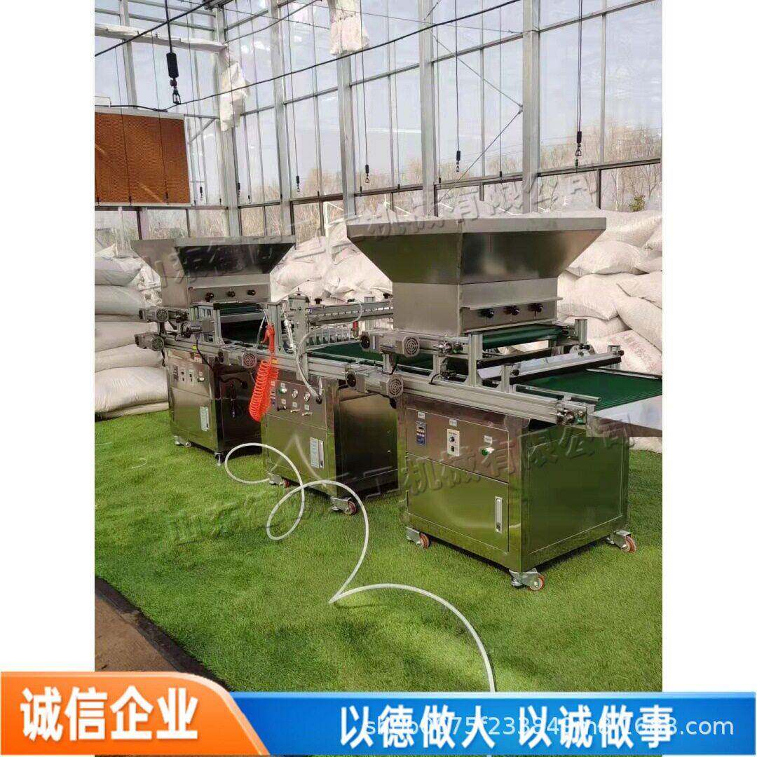 全自动穴盘育苗播种机小型花卉植物育苗机农用蔬菜种子种植机
