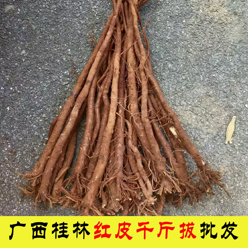 广西野生千斤拔中药材精选新鲜现挖红皮千斤拔煲汤泡酒原产地发货