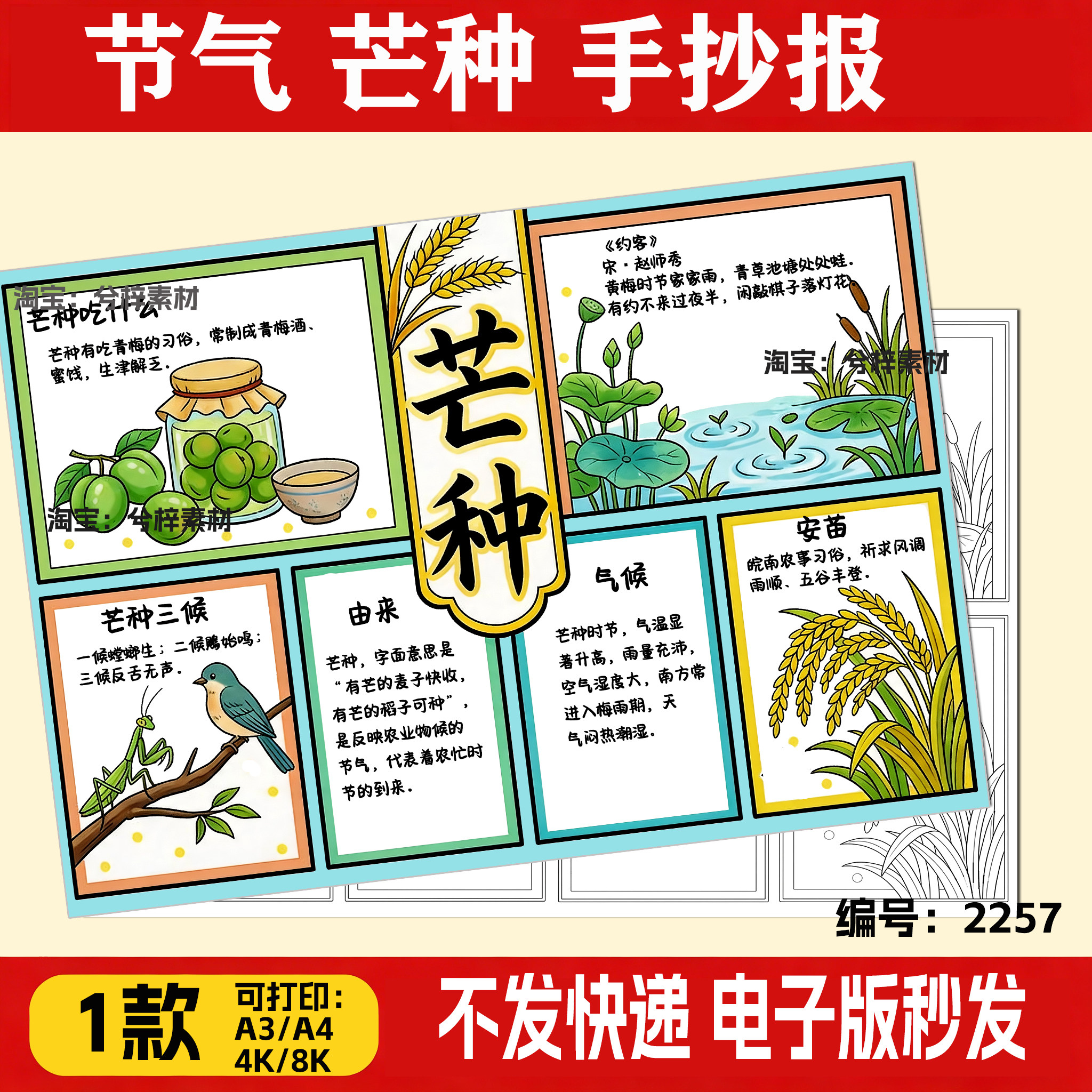 芒种节气手抄报电子模板二十四节气传统习俗文化秋天丰收季节线稿