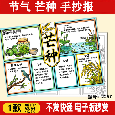 芒种节气手抄报电子模板二十四节气传统习俗文化秋天丰收季节线稿