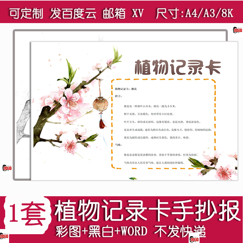 植物记录卡手抄报桃花观察记录卡植物名片模板电子线稿233