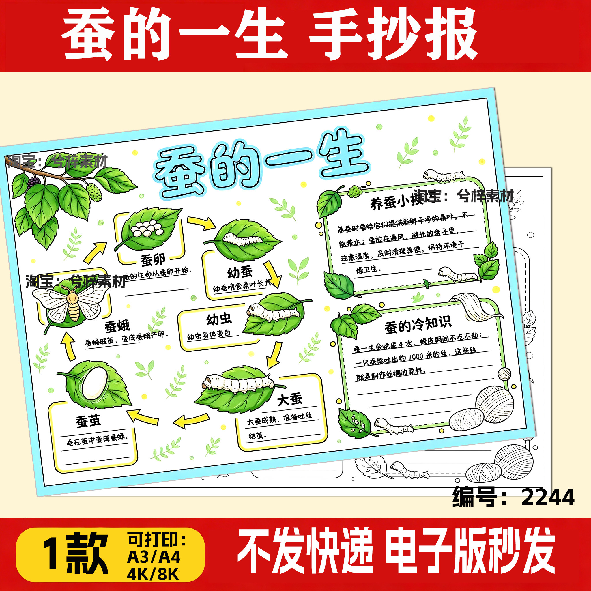 蚕的一生手抄报蚕宝宝成长记昆虫自然观察笔记蚕的生长过程儿童画