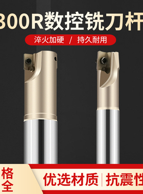 数控铣刀杆BAP300R立铣刀柄小R0.8铣床直角开粗刀杆1135刀片加硬