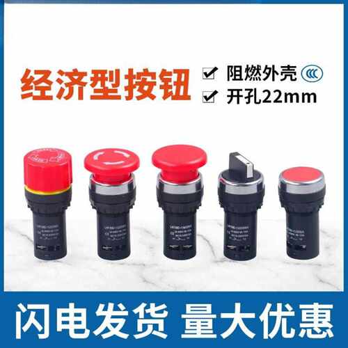 经济型按钮开关LAY39DLA38-11/